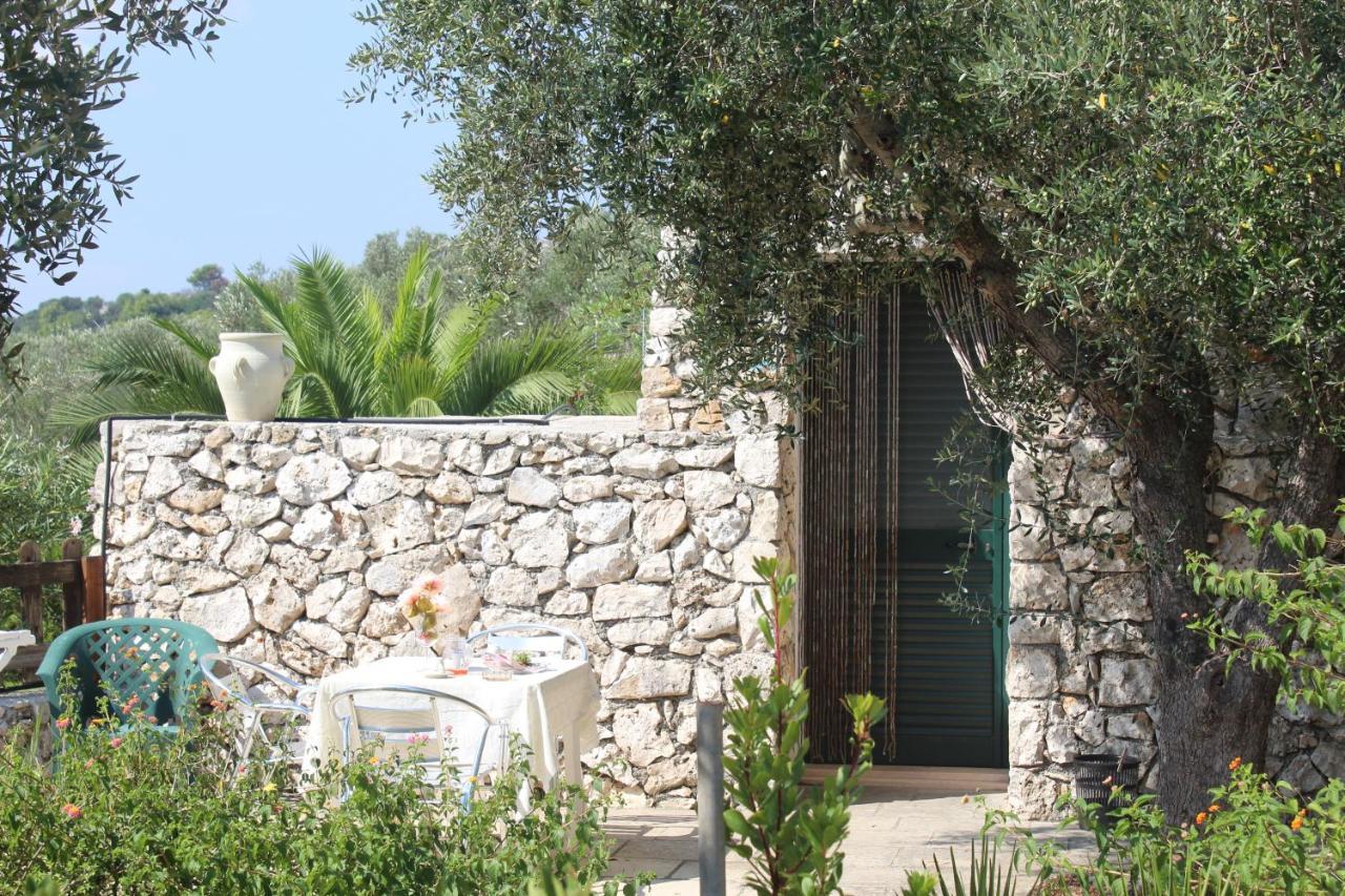 Amoru Bed & Breakfast Castro  Exterior foto